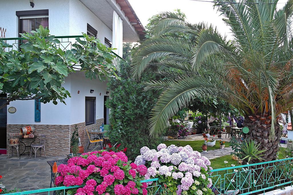 Studios Ifigenia Skala Potamia  Exterior photo
