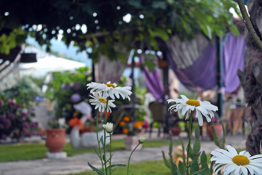 Studios Ifigenia Skala Potamia  Exterior photo